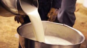 çiğ süt nasıl pişirilir